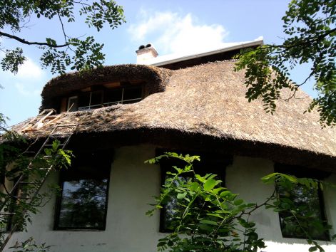 fenykep0559.jpg
