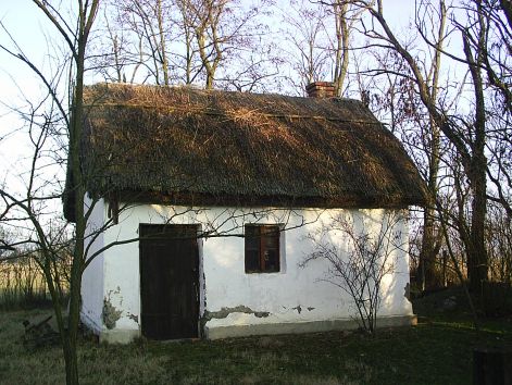 pic_0036.jpg