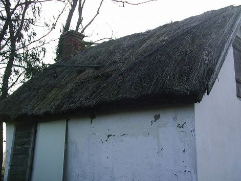 pic_0038.jpg